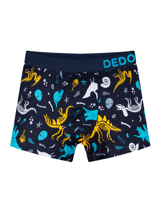 boys-boxers-dinosaurs-1-6e/6e29d3b45622d255dbe456bac2cac36d78524aa4