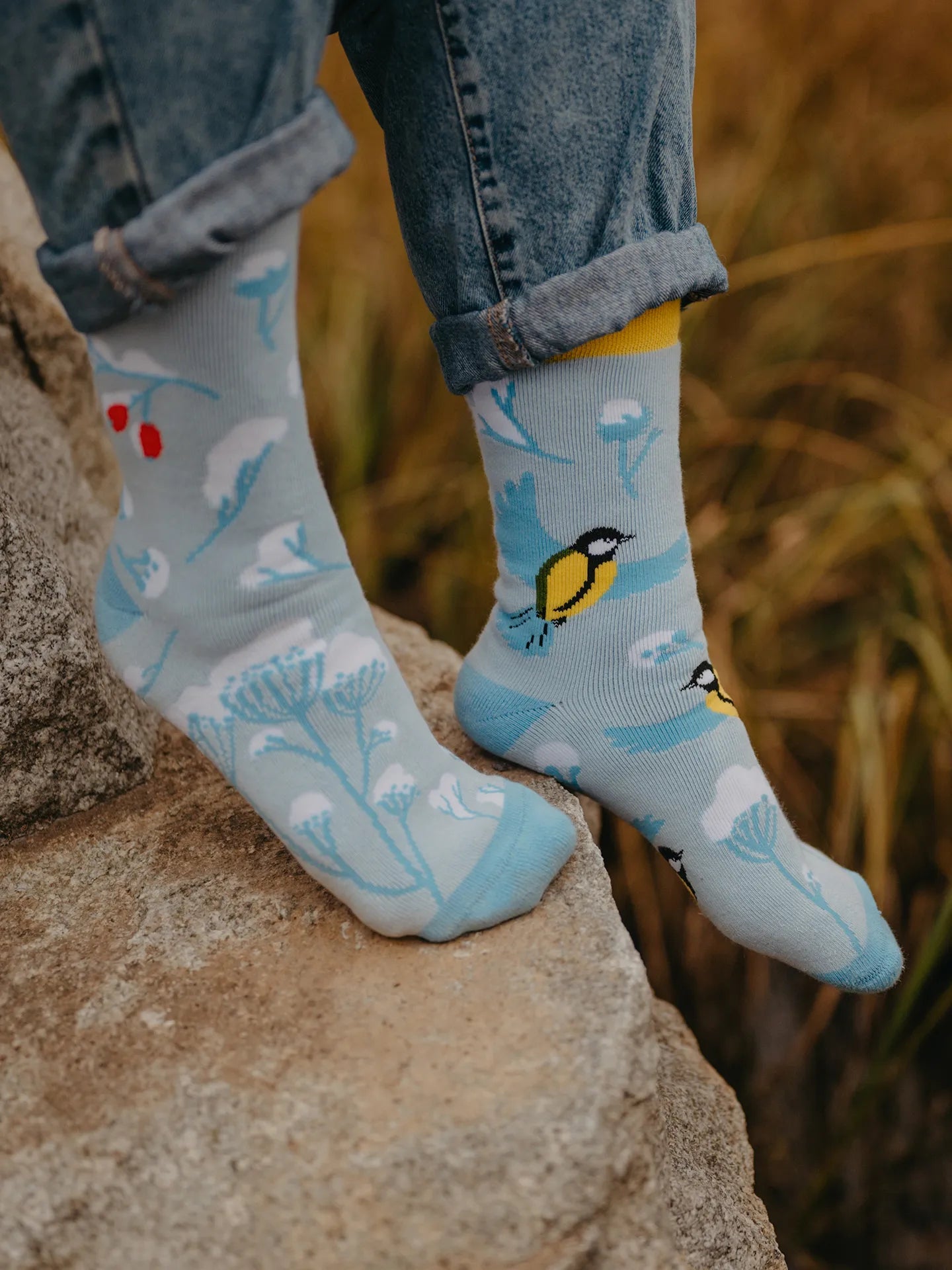 warm-socks-winter-bird-1-56/566c9f439f4c2472c2931e86a7425a45f7c9cfa8