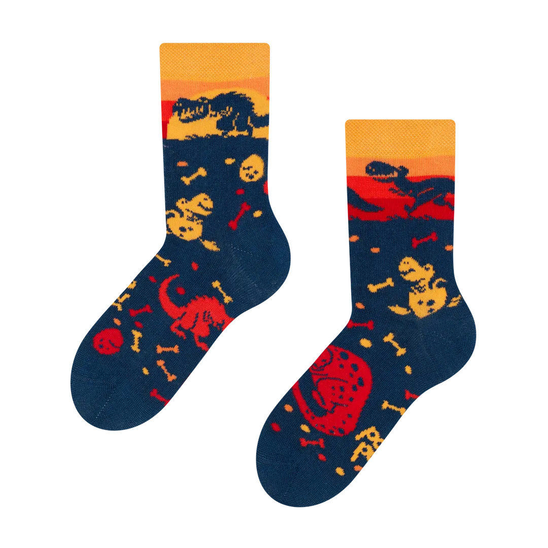 kids-socks-dinosaur-world-b2/b23fee604a10d13db9518512cecebe2acce9a430