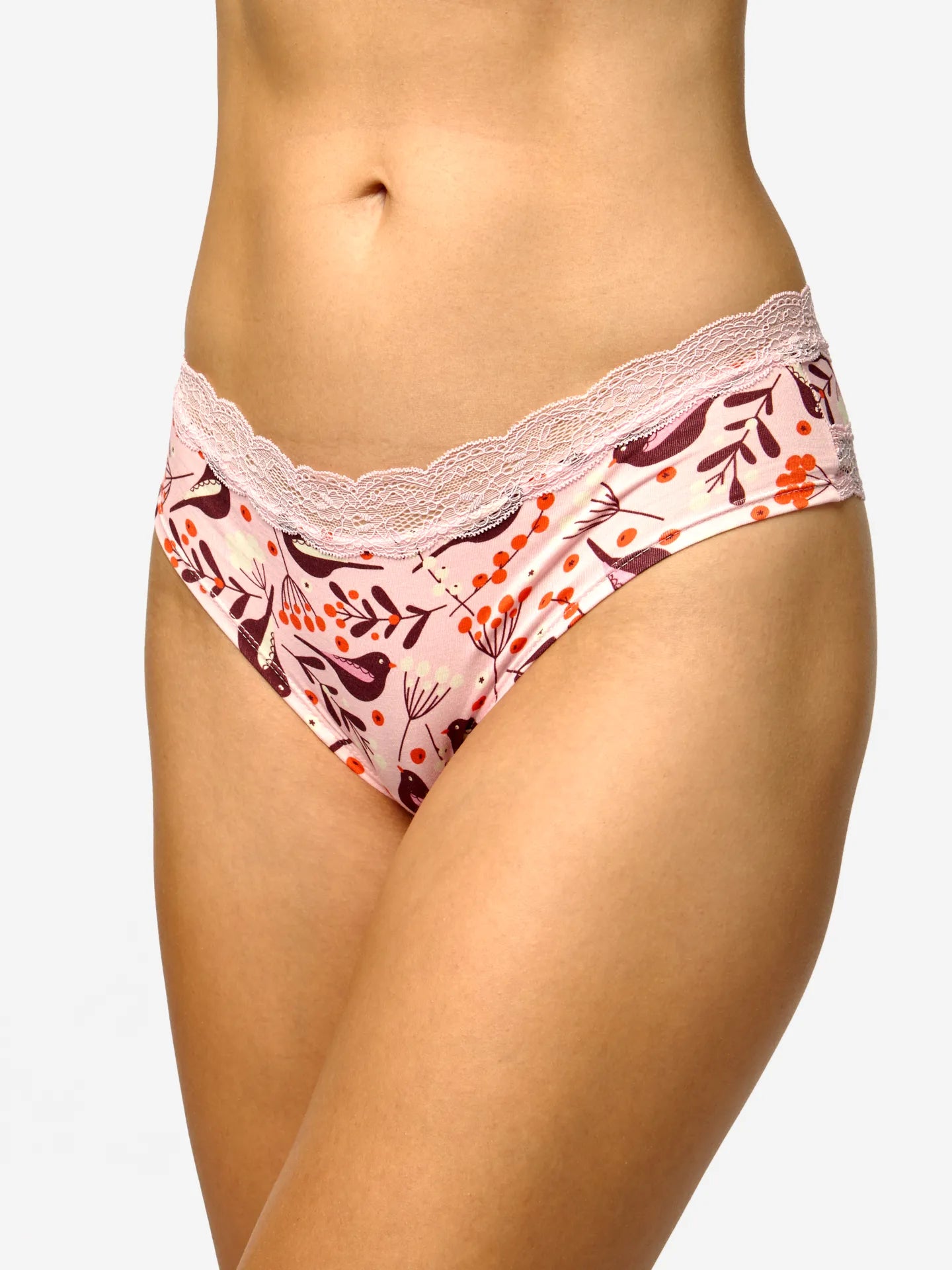 women-s-lace-hipster-briefs-birds-berries-a6/a60db44ae9df572050c451cb78464a5ad2140971