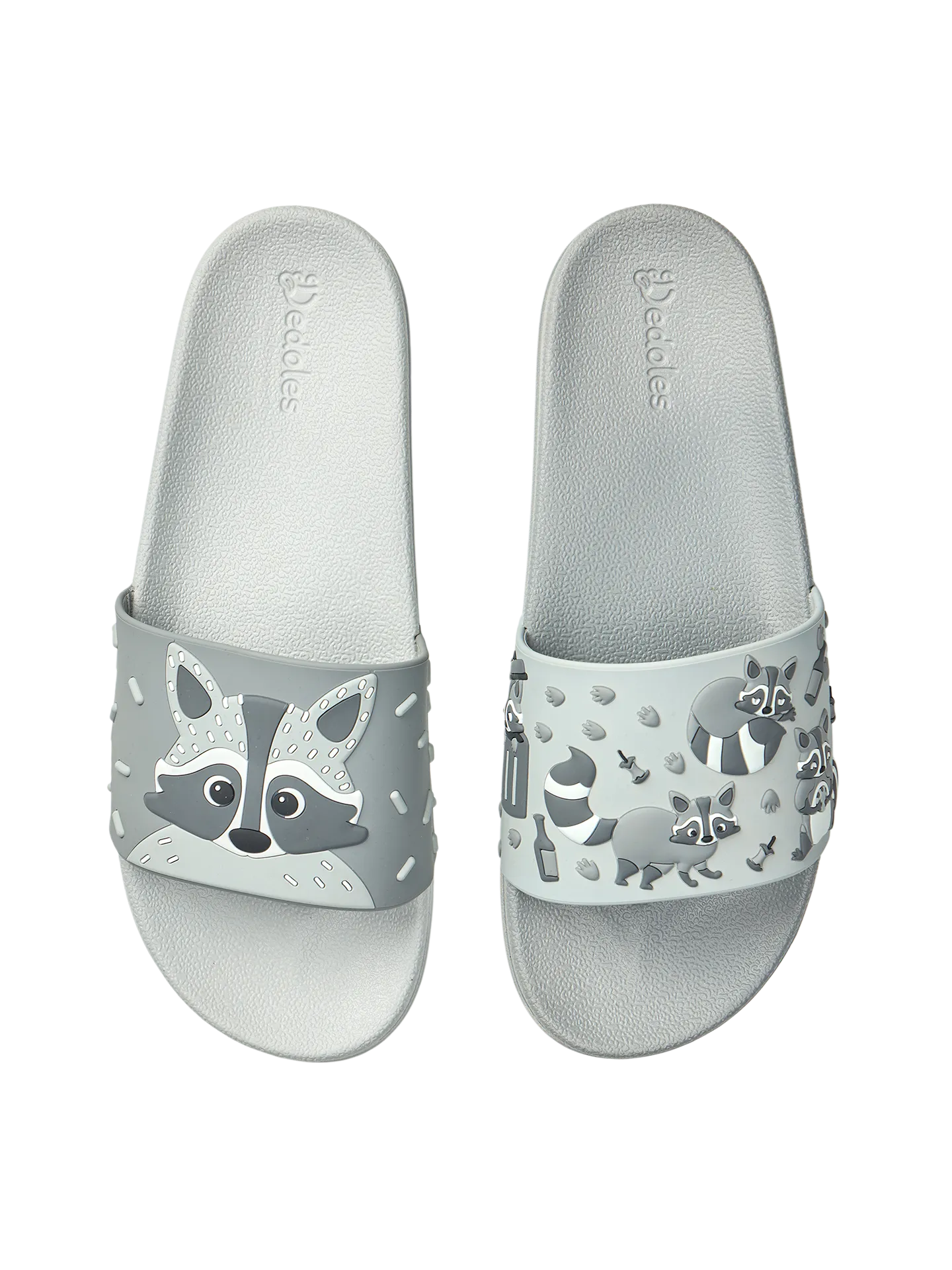 slides-racoon-5e/5e4705081bc2797a6d97eb9e3ddb4d7aeb5ca984