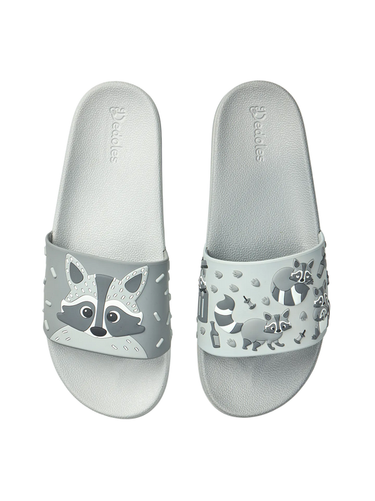 slides-racoon-5e/5e4705081bc2797a6d97eb9e3ddb4d7aeb5ca984