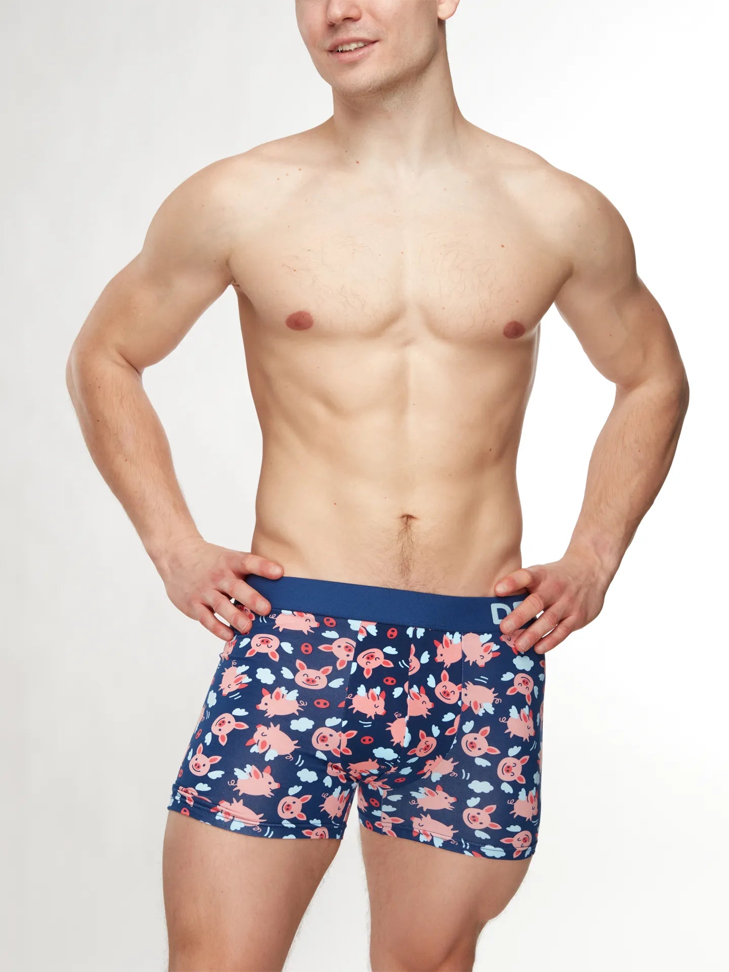 mens-trunks-flying-pigsff-15/15b953734c6f47f8d6f288e52db274729dea5246