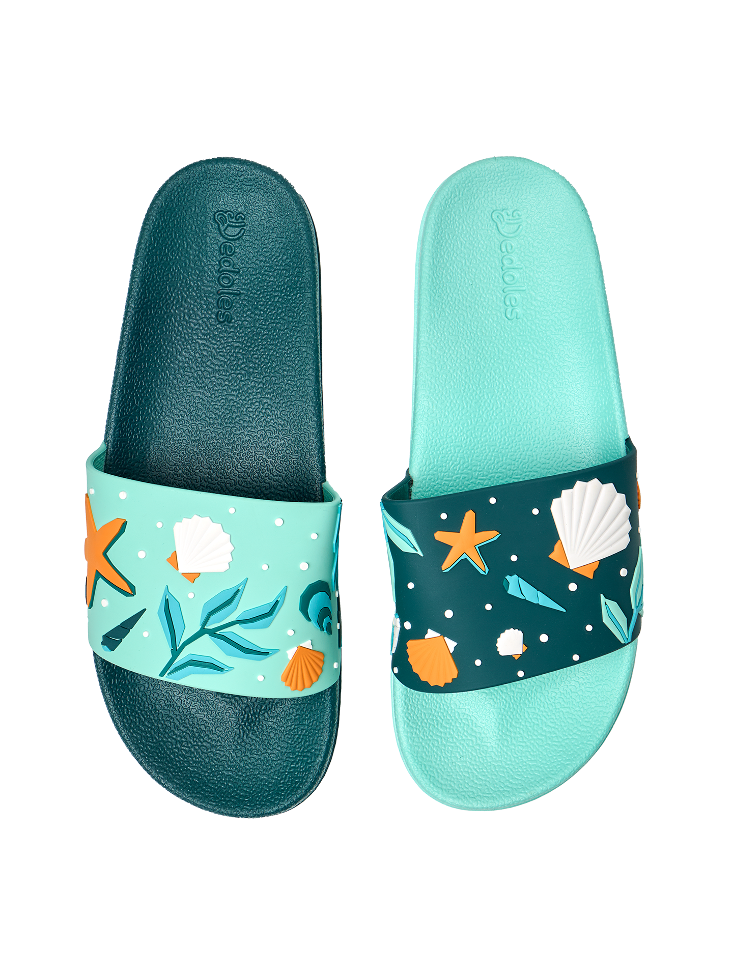 slides-seashells-25/25dd686911c29631b459635cde40de6de3979307