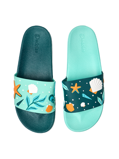slides-seashells-25/25dd686911c29631b459635cde40de6de3979307