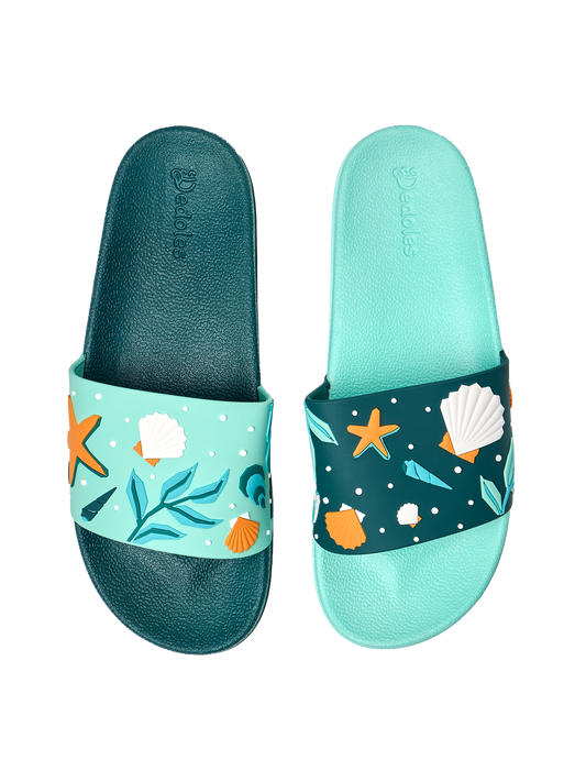 slides-seashells-25/25dd686911c29631b459635cde40de6de3979307
