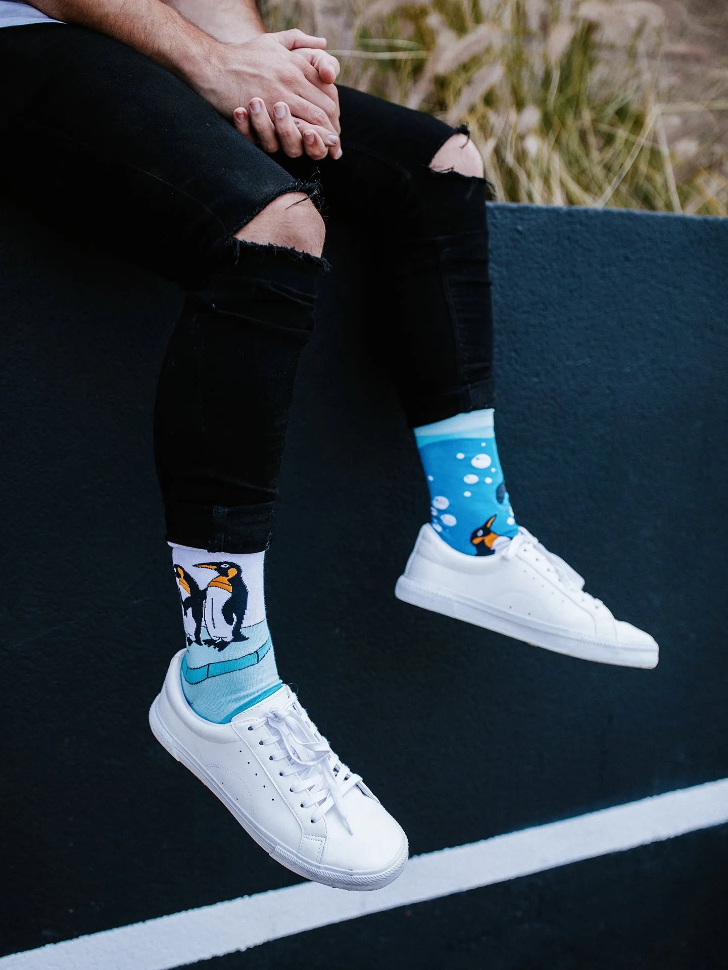 regular-socks-penguins-1-f1/f157dbebfcd1ff6f44f6911cea8c7a29b617e557