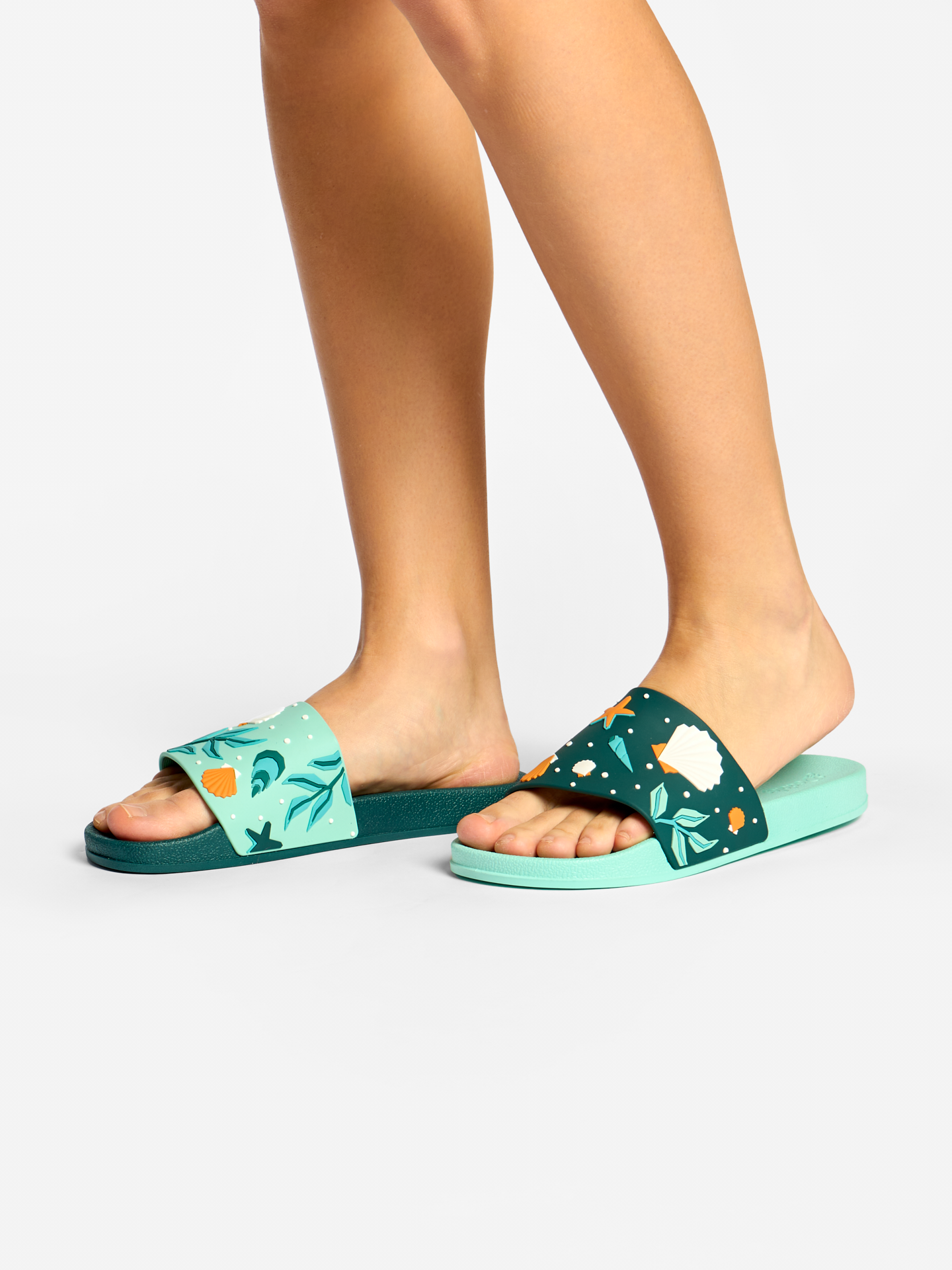 slides-seashells-b5/b5ee38757545368256432304b74875bcf2a77d5f