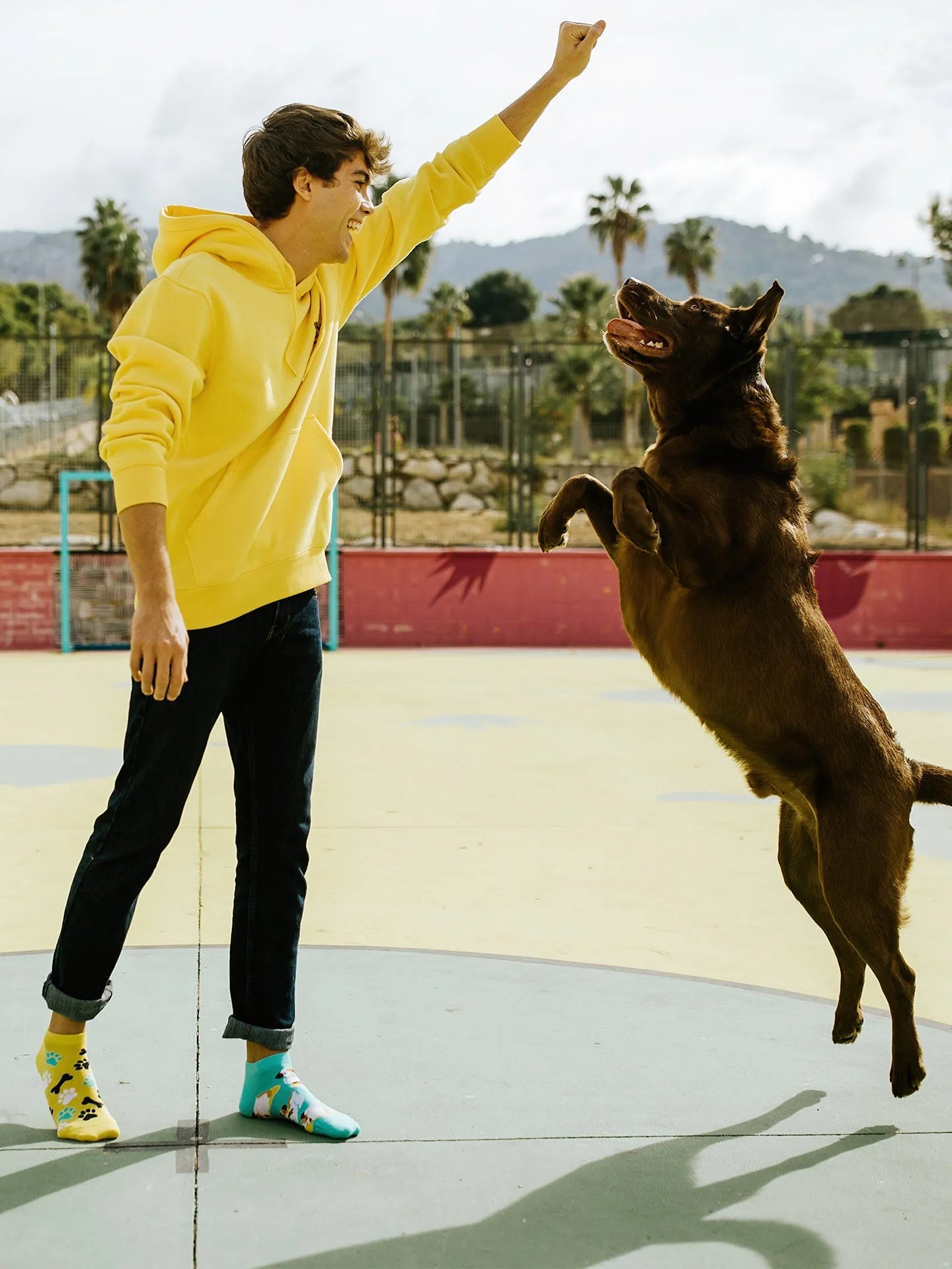 ankle-socks-happy-dog-1-65/65ba279d2c79377bcea106116e6377dc28fba23e