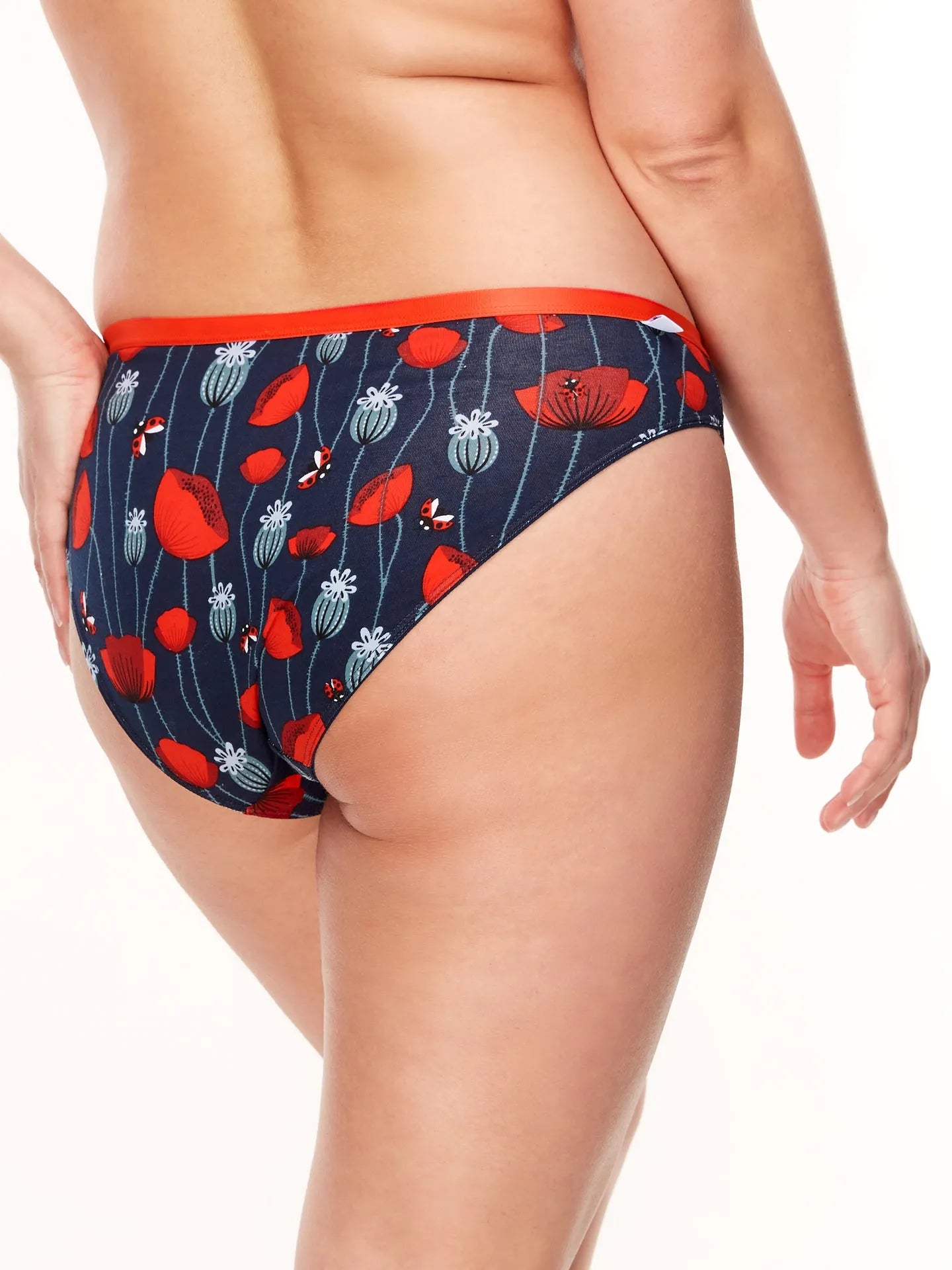 womens-briefs-ladybugs-poppy-flowers-4b/4b0a72ad8ba3b968ce230bb950426eabaf4d160a