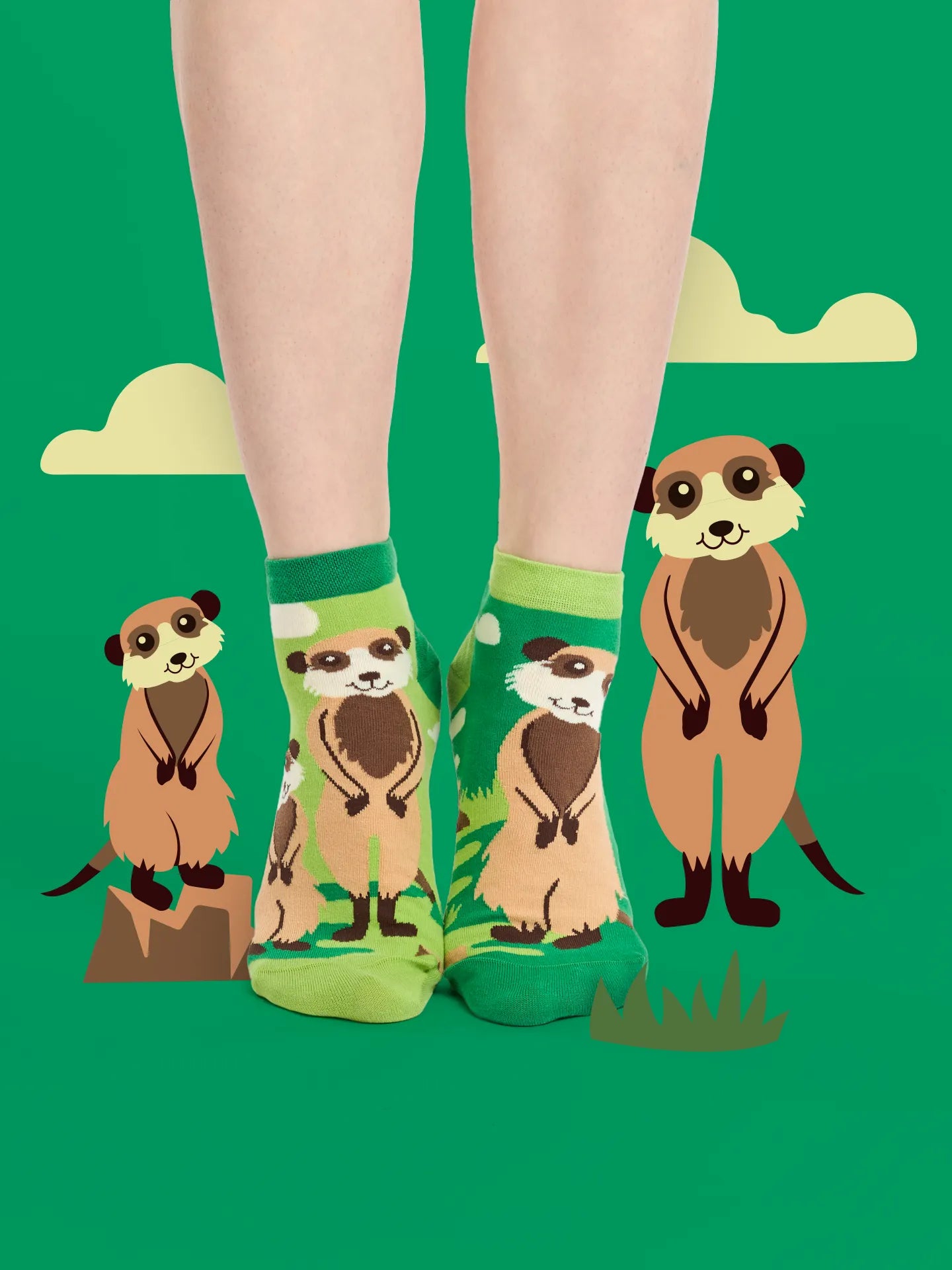 ankle-socks-meerkats-1-24/2458587bb014e1fe7bfd1821ec83ded4b93123f5