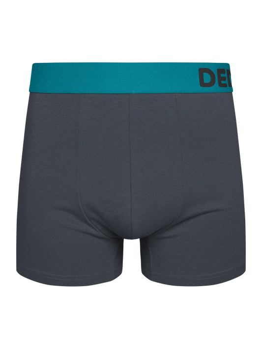 anthracite-grey-mens-trunks-69/697387afea245a78224dc05788a1400c659e4e86