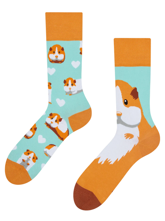 regular-socks-guinea-pig-69/698a85de33193804ab4fdba38452adcb24f639fe