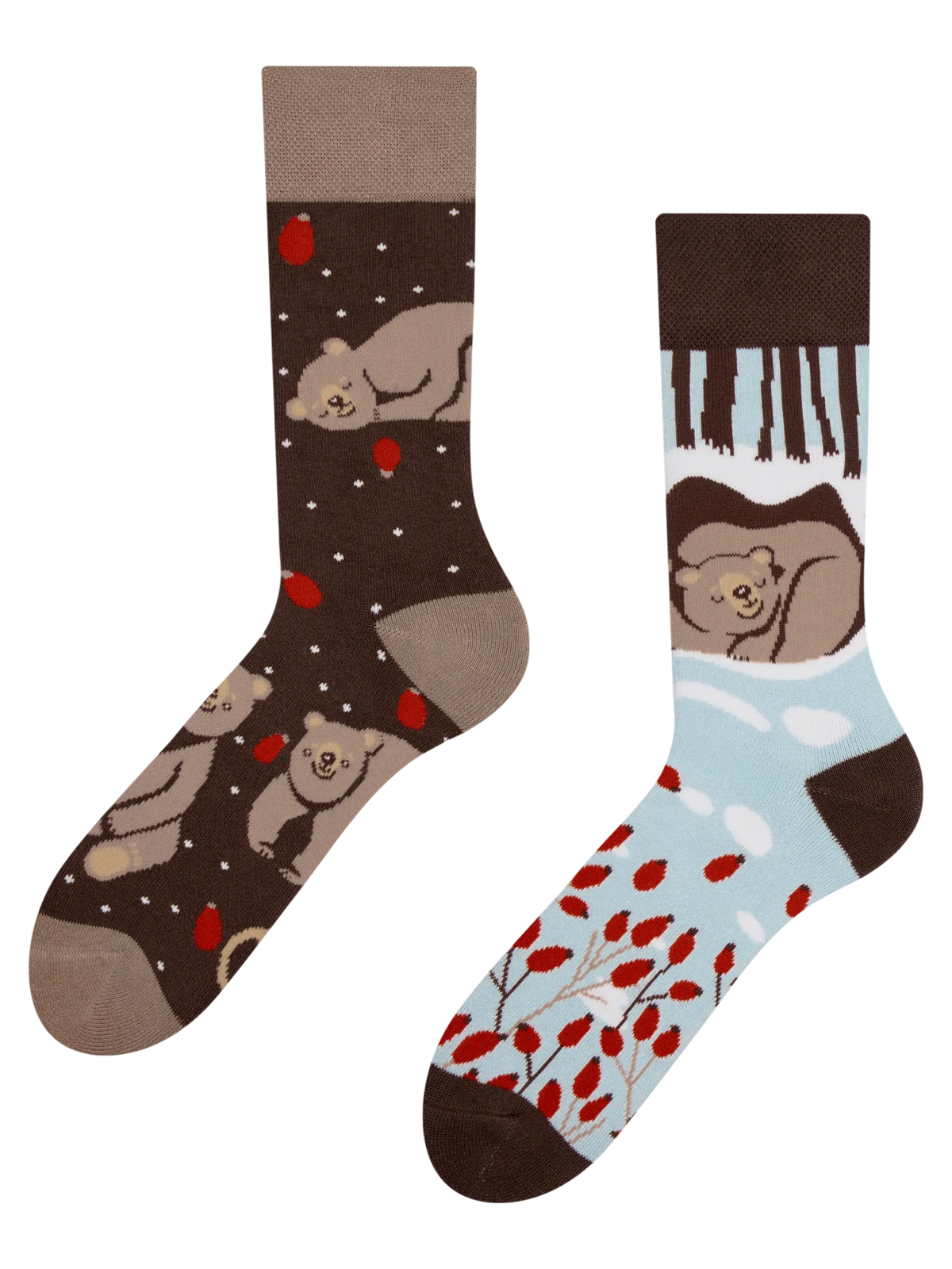 warm-socks-bear-in-winter-1-6a/6a2c26aefdf6f0f7483b9f7d37df13cb0e9587ef