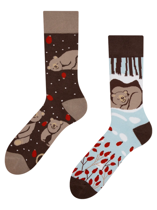warm-socks-bear-in-winter-1-6a/6a2c26aefdf6f0f7483b9f7d37df13cb0e9587ef