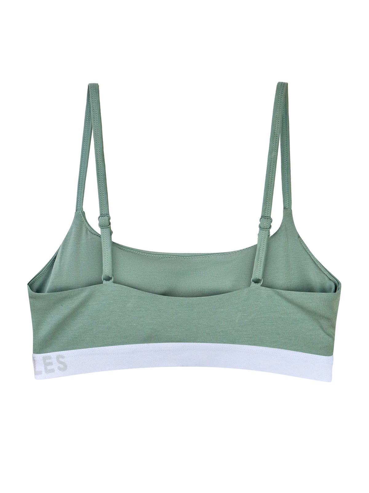 sage-green-womens-modal-brassiere-6a/6a3704714ac6ea53036ff79cdd68ef504b5bcbbe
