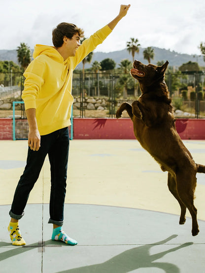 ankle-socks-happy-dog-1-65/65ba279d2c79377bcea106116e6377dc28fba23e