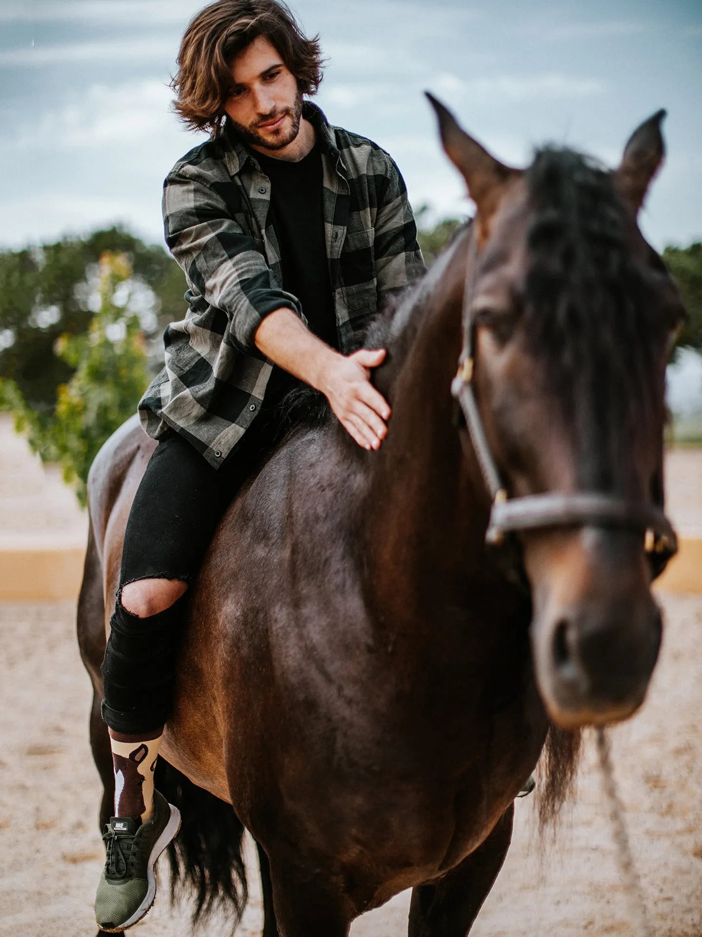 regular-socks-horses-70/70e10f4eb73415f9b3edb2fffe41801827bd961a