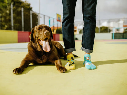 ankle-socks-happy-dog-1-a7/a75a9818cc8cc26f7f3b0568ba1bf13aca8c88bd