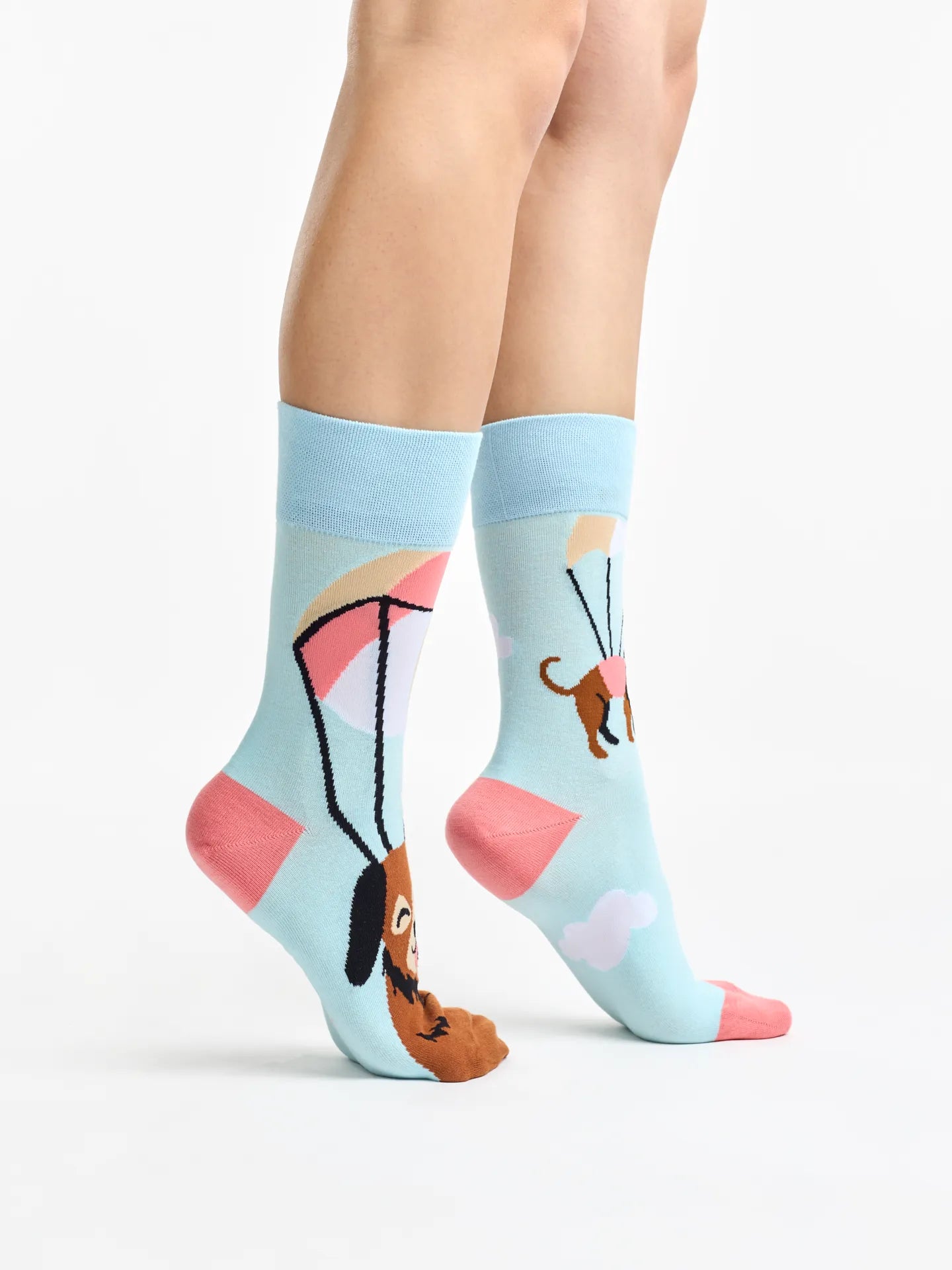 regular-socks-flying-cats-dogs-1-37/374f5ed5e42a56912600b4287aafdb938154afab