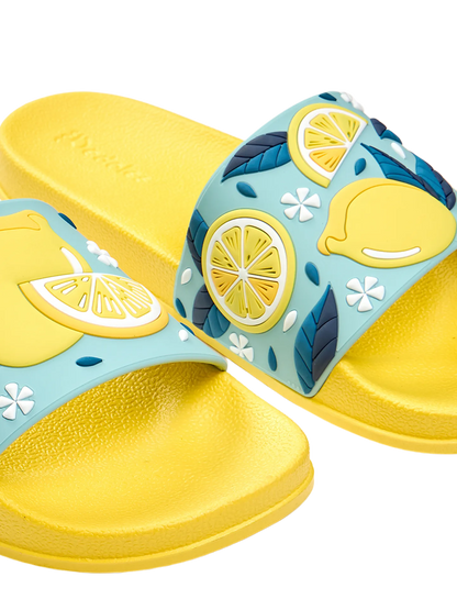 slides-summer-lemons-75/75850e3a6f5f0e82f8adc694f3944bd4c561dc2e