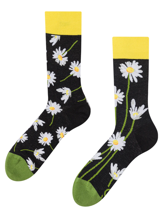 regular-socks-daisies-at-night-1-9b/9bf36480559adc9fe6e711279a574e265f74be83