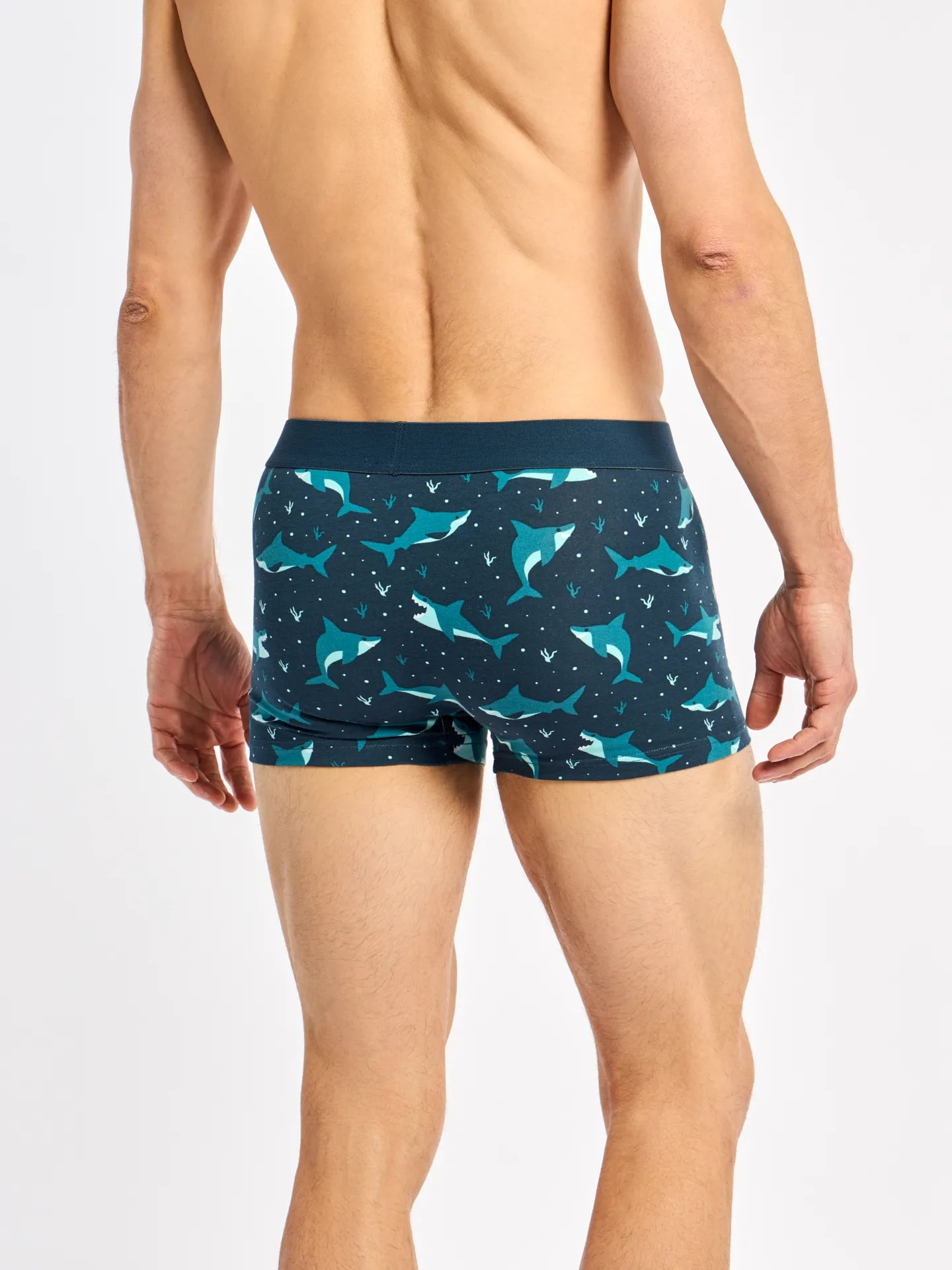 shortened-mens-trunks-blue-shark-58/584d81dbd807f1080287045eb64128e86e0fa609