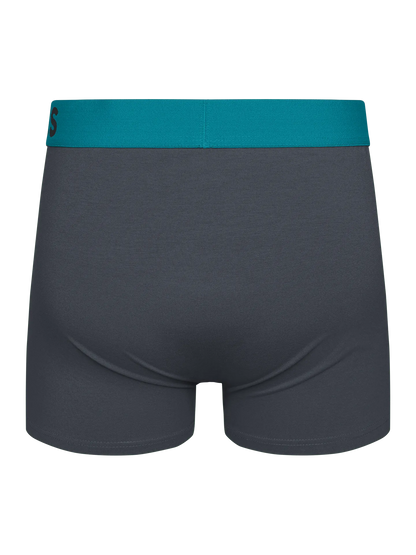 anthracite-grey-mens-trunks-78/78bd35e5e0e8c742068ce801efe668554a852d8b