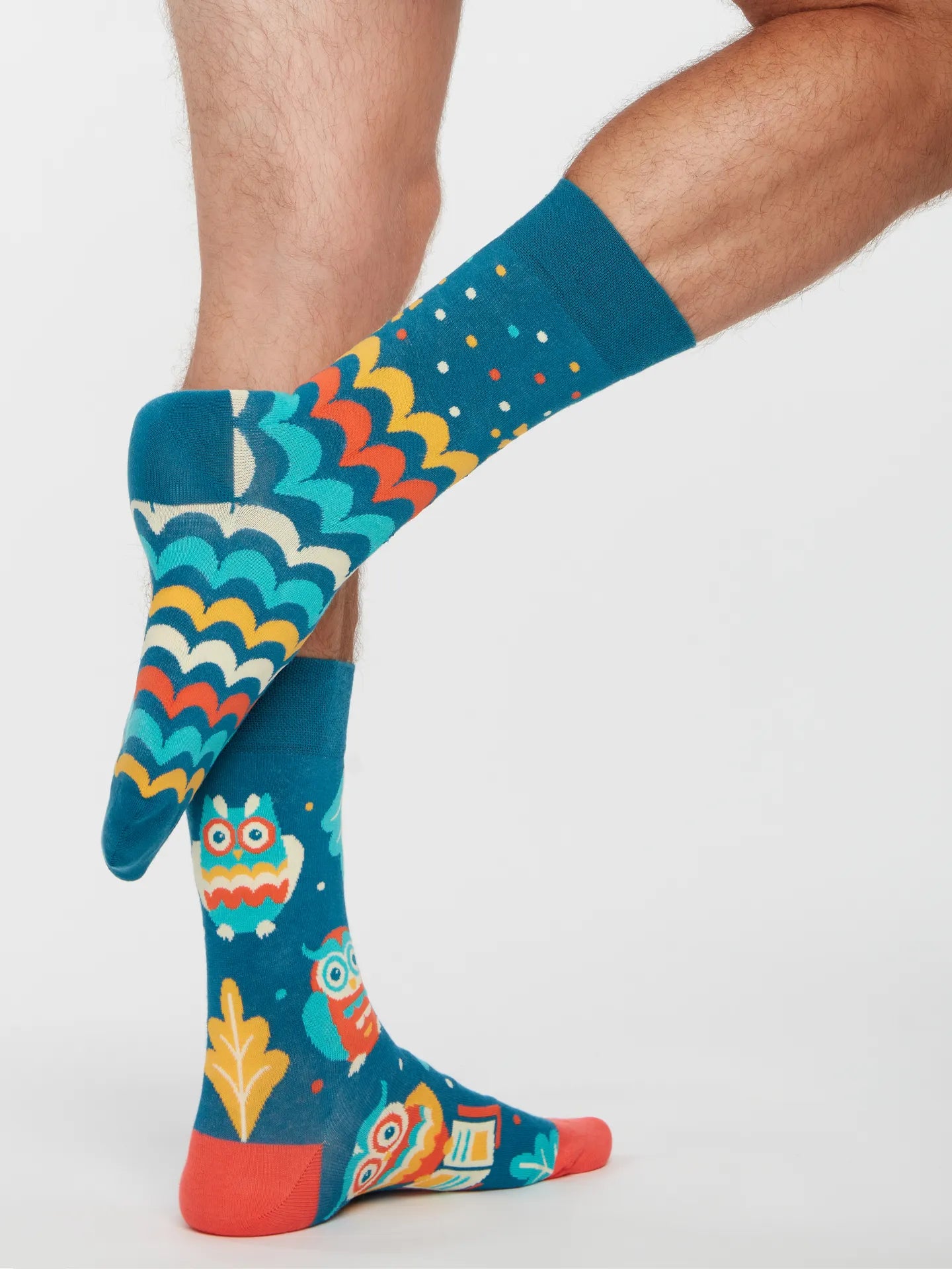 regular-socks-wise-owl-1-6e/6e1ff7090618a1455ce9f1ffdfbf5a89e9b79c52