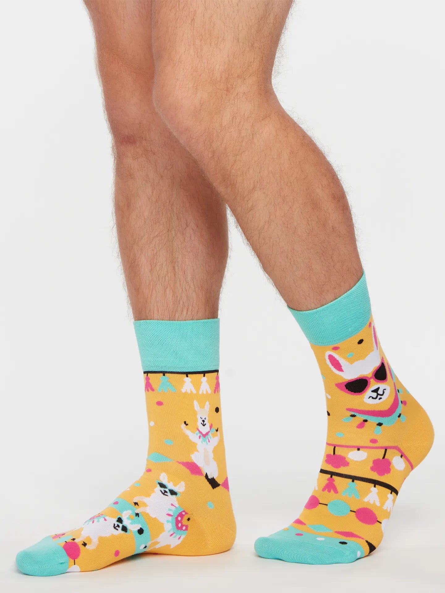 regular-socks-cool-llama-1-8c/8ccca5eba07c74d4fb2e9aa9fe7f1421f3013674