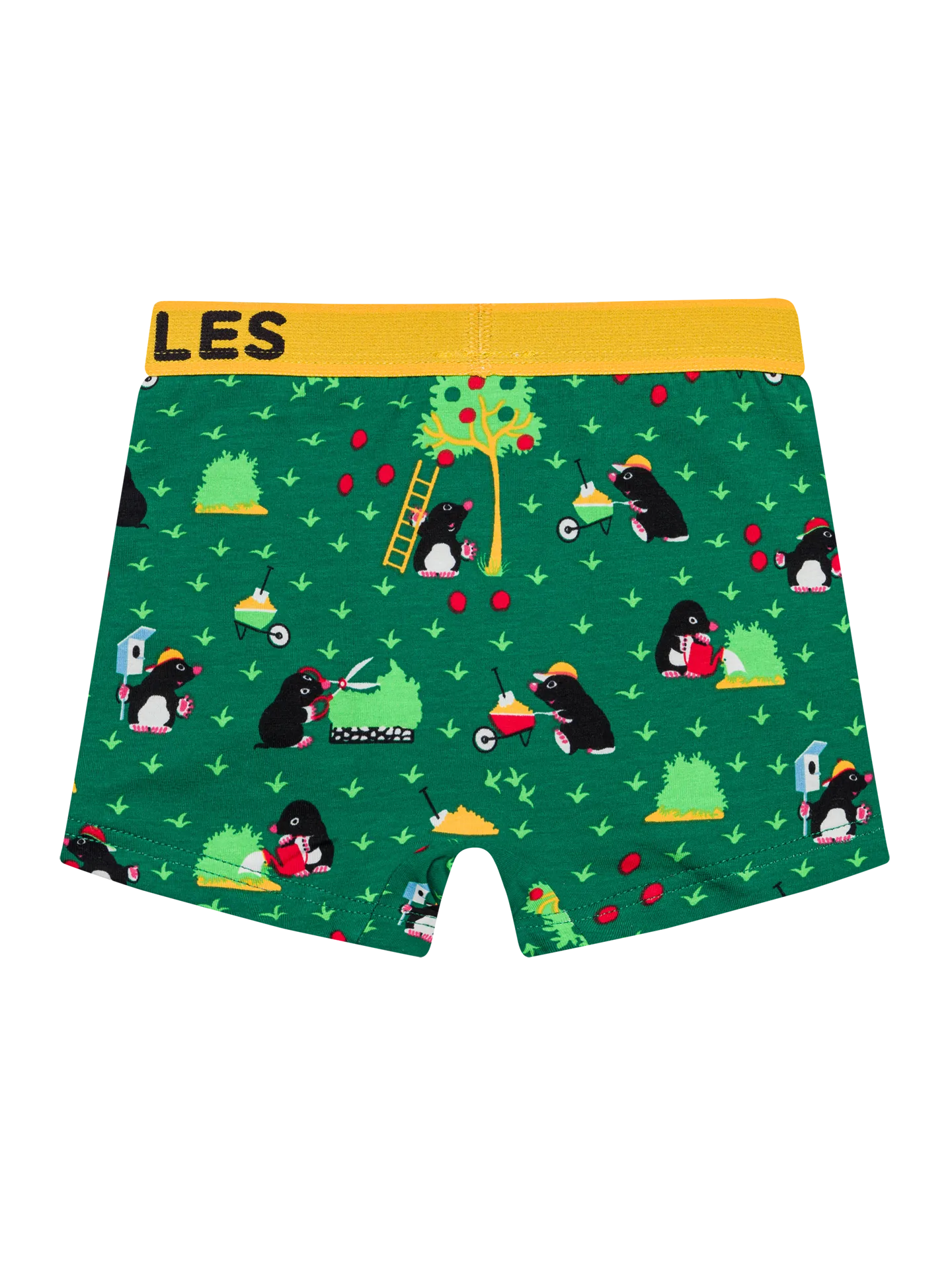 boys-boxers-mole-1-21/21d55389904c1fe08cba71666711bccc782aaa95