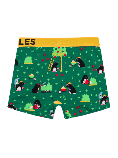 boys-boxers-mole-1-21/21d55389904c1fe08cba71666711bccc782aaa95
