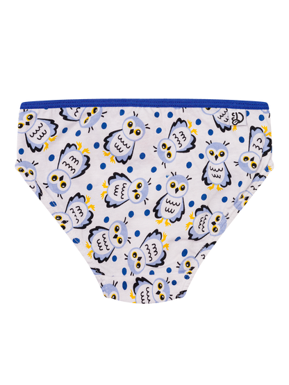 girls-briefs-snow-owl-3d/3d6d72de632990ce0f9a0952d47563e6fd5fb725