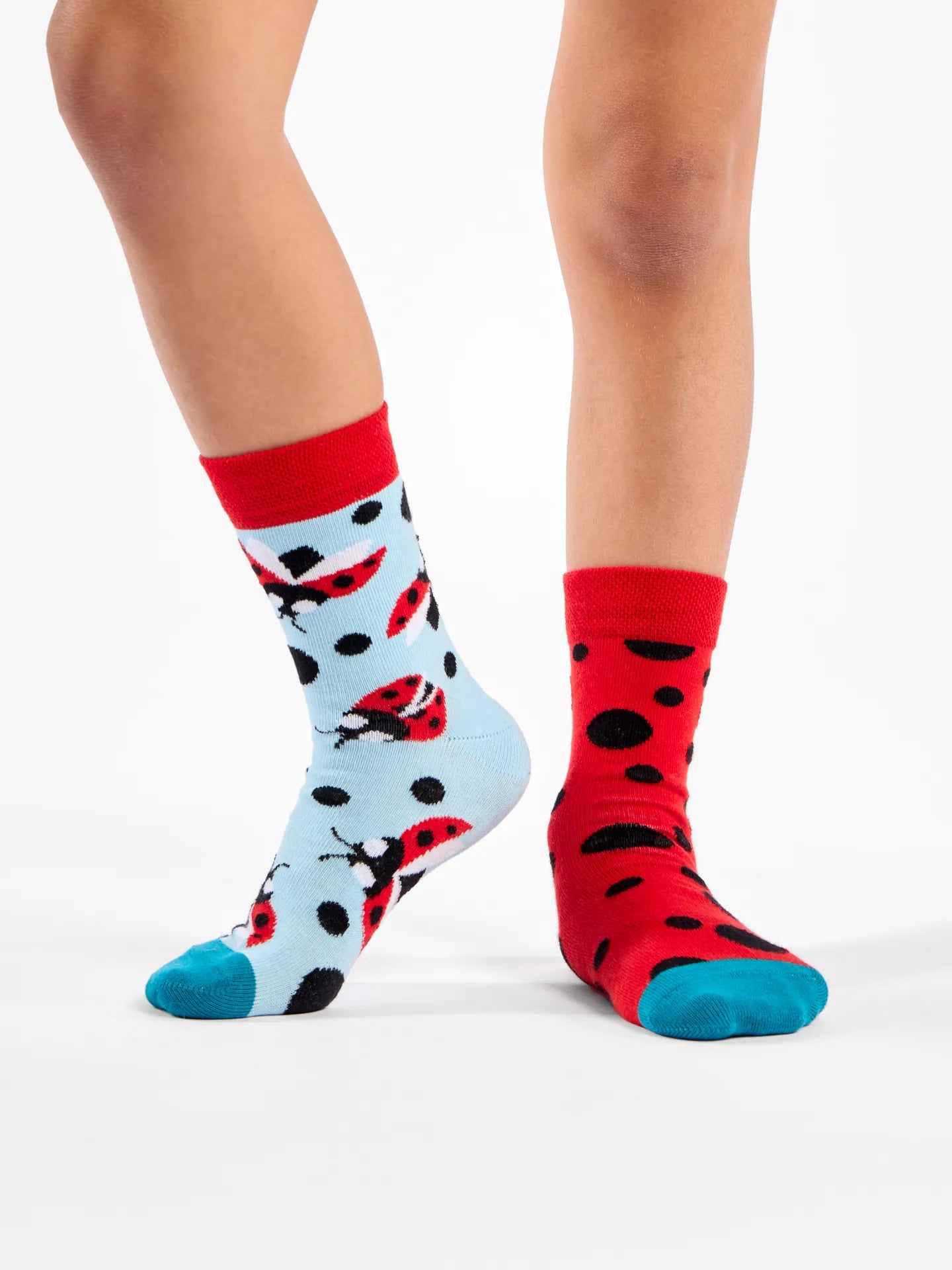 kids-socks-ladybugs-dots-1-5f/5f75ad2d95be60a83207daa6a943413508ad0c52
