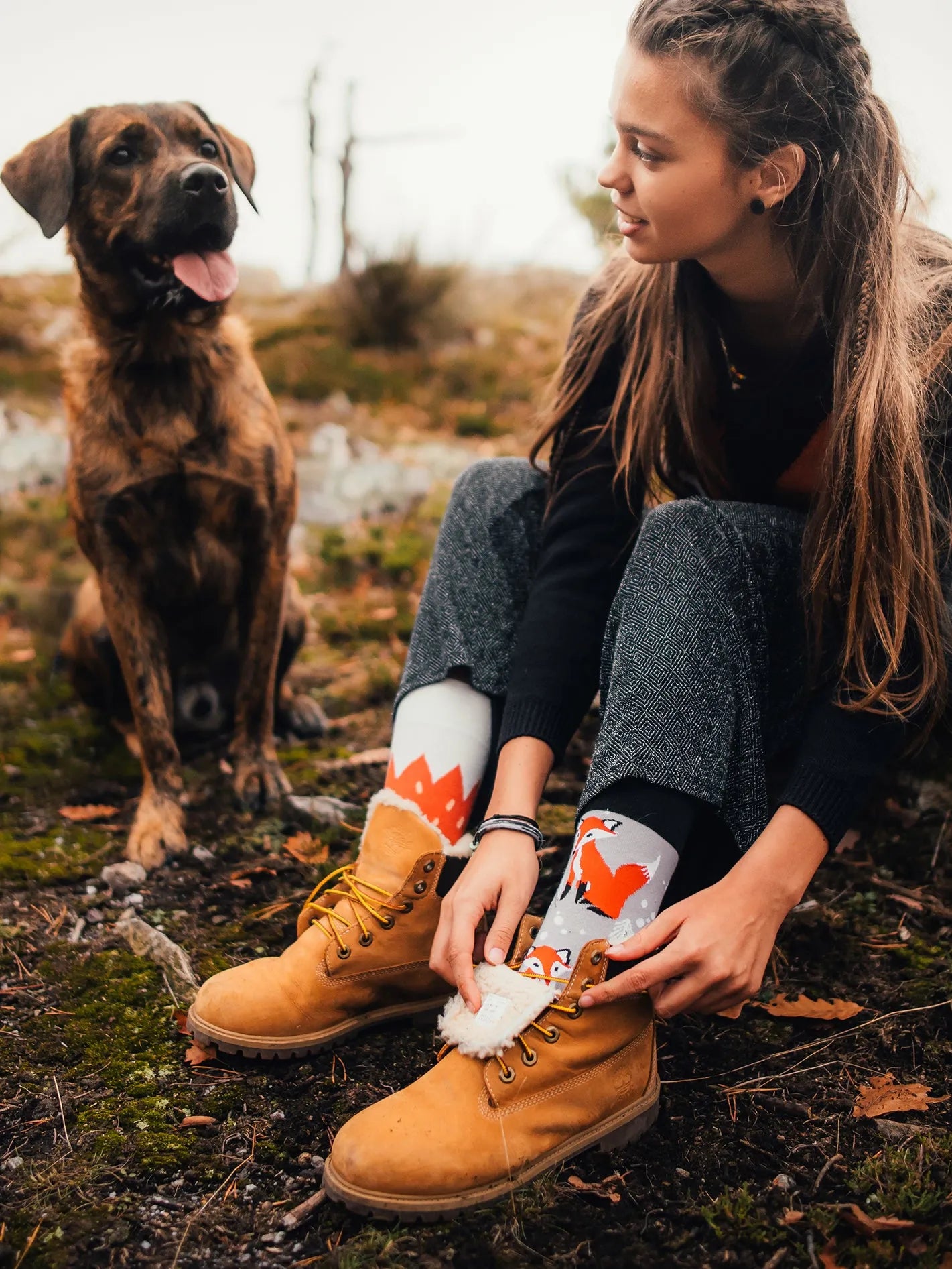 regular-socks-fox-1-7d/7df72bf6338dfb753f5d1f611a67e870c82c82e8