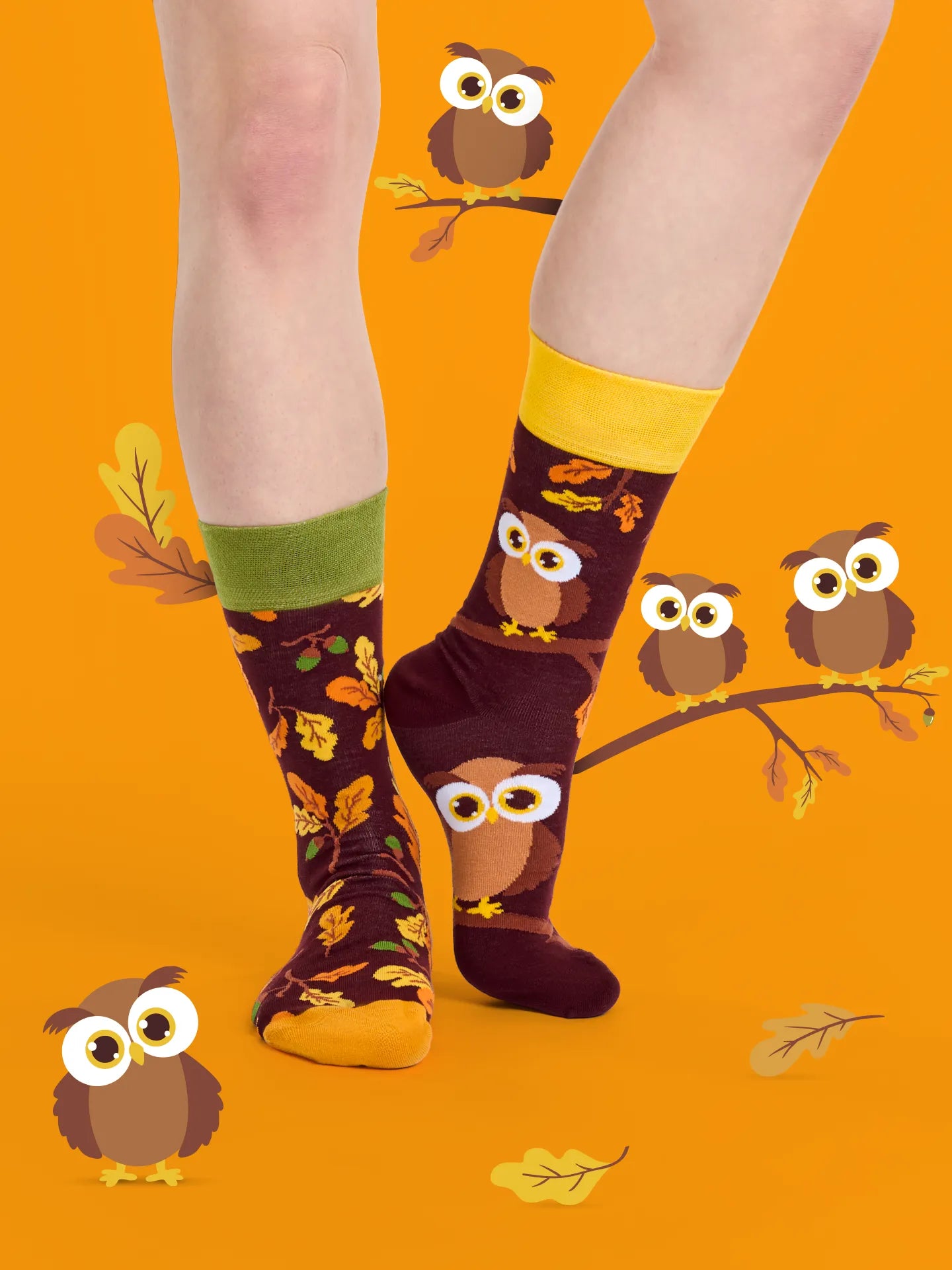 regular-socks-curious-owl-1-9d/9d7af309ef910ce0bb0a1d216af26fdafb27fcb9