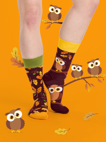 regular-socks-curious-owl-1-9d/9d7af309ef910ce0bb0a1d216af26fdafb27fcb9