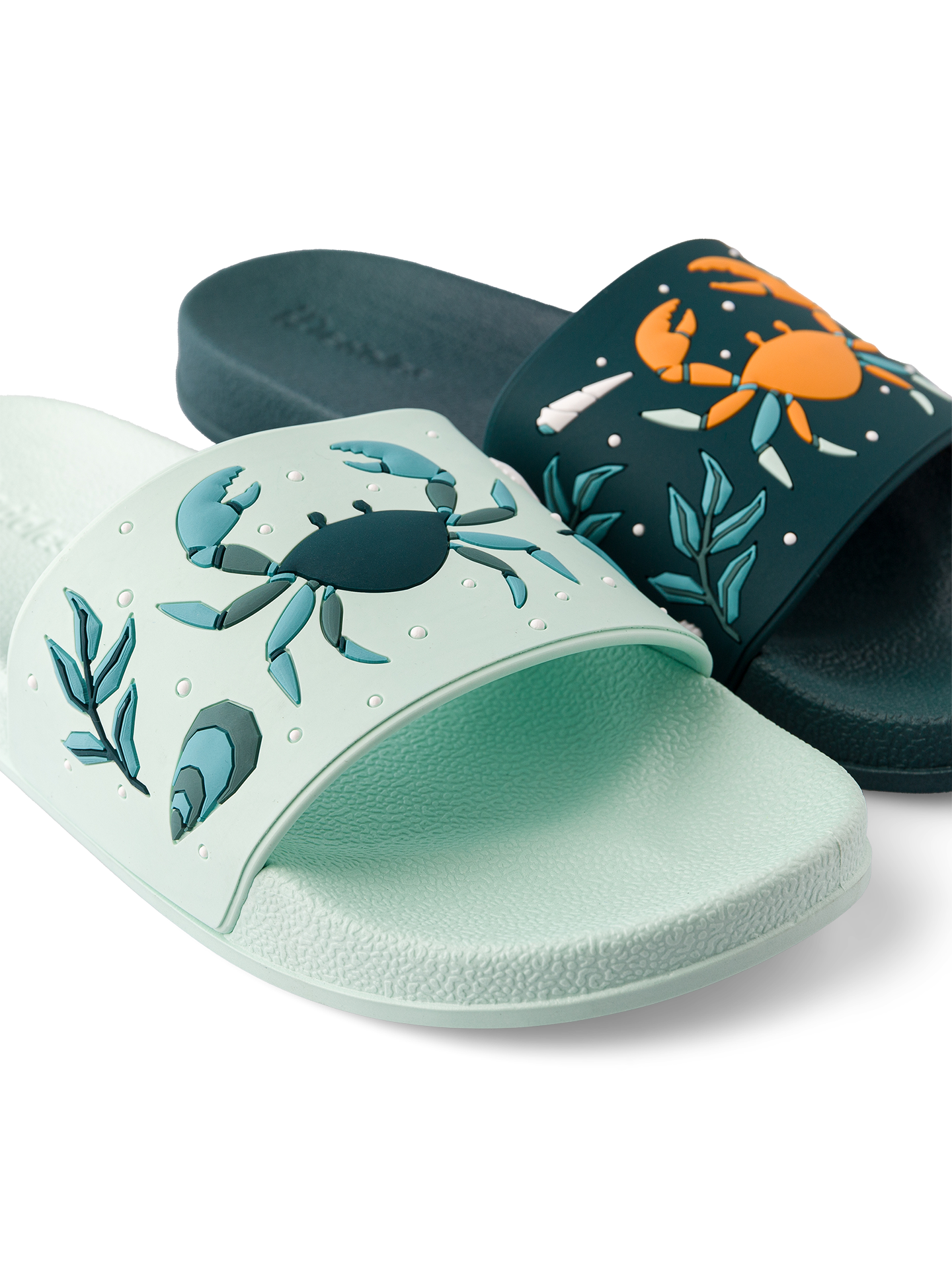 slides-sea-crab-bf/bf7d98d2c73d37bc41c78fbd8936a825692eb906
