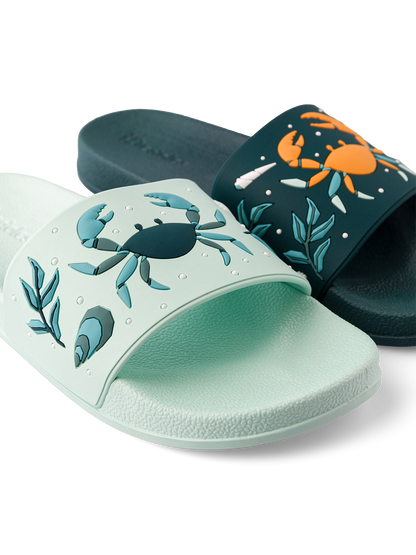 slides-sea-crab-bf/bf7d98d2c73d37bc41c78fbd8936a825692eb906