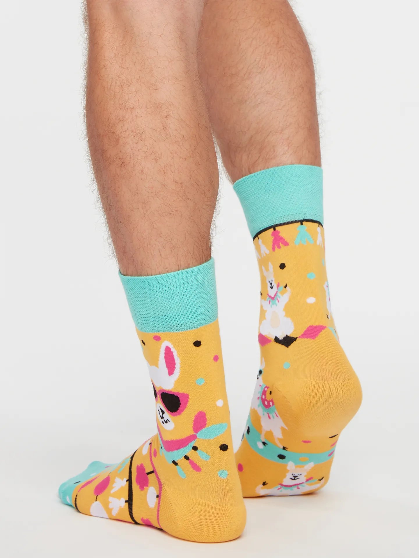 regular-socks-cool-llama-1-84/840af948b703d1bdb1e06d434d10a99daadc5814