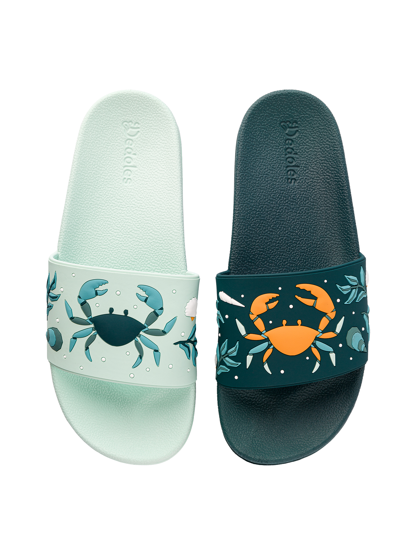 slides-sea-crab-49/49493f15c02c384414e77c9eae73fc0ba38e7bf5