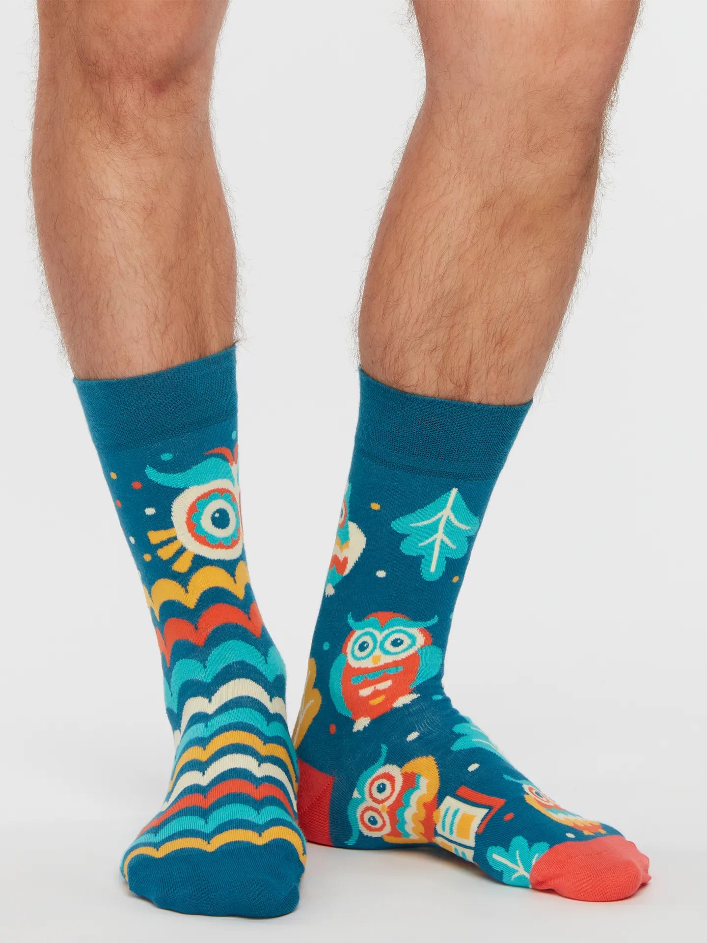regular-socks-wise-owl-1-dd/dd1a1c5bb57ba027e8333261aa5d24794b50c362