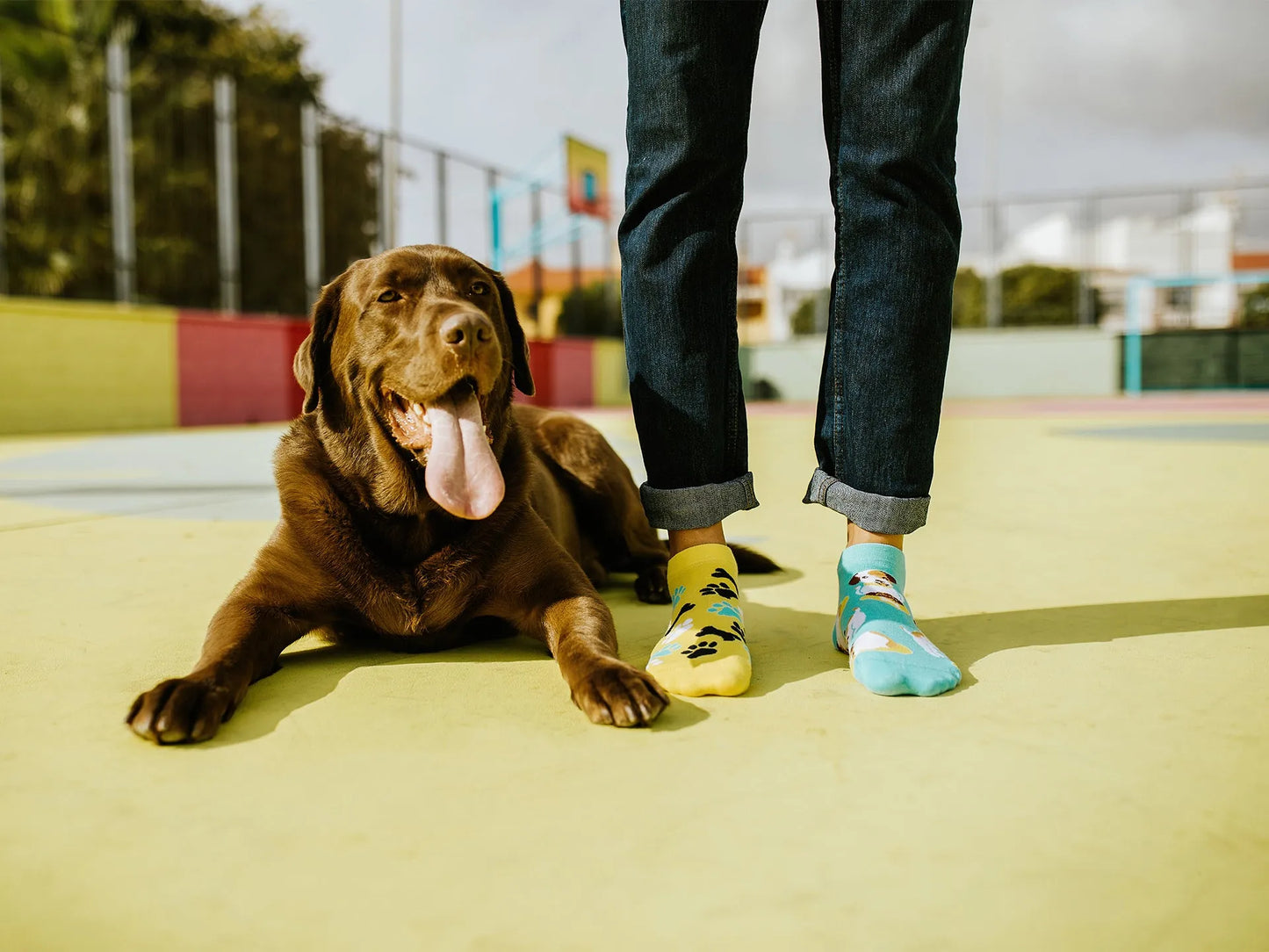 ankle-socks-happy-dog-1-a7/a75a9818cc8cc26f7f3b0568ba1bf13aca8c88bd