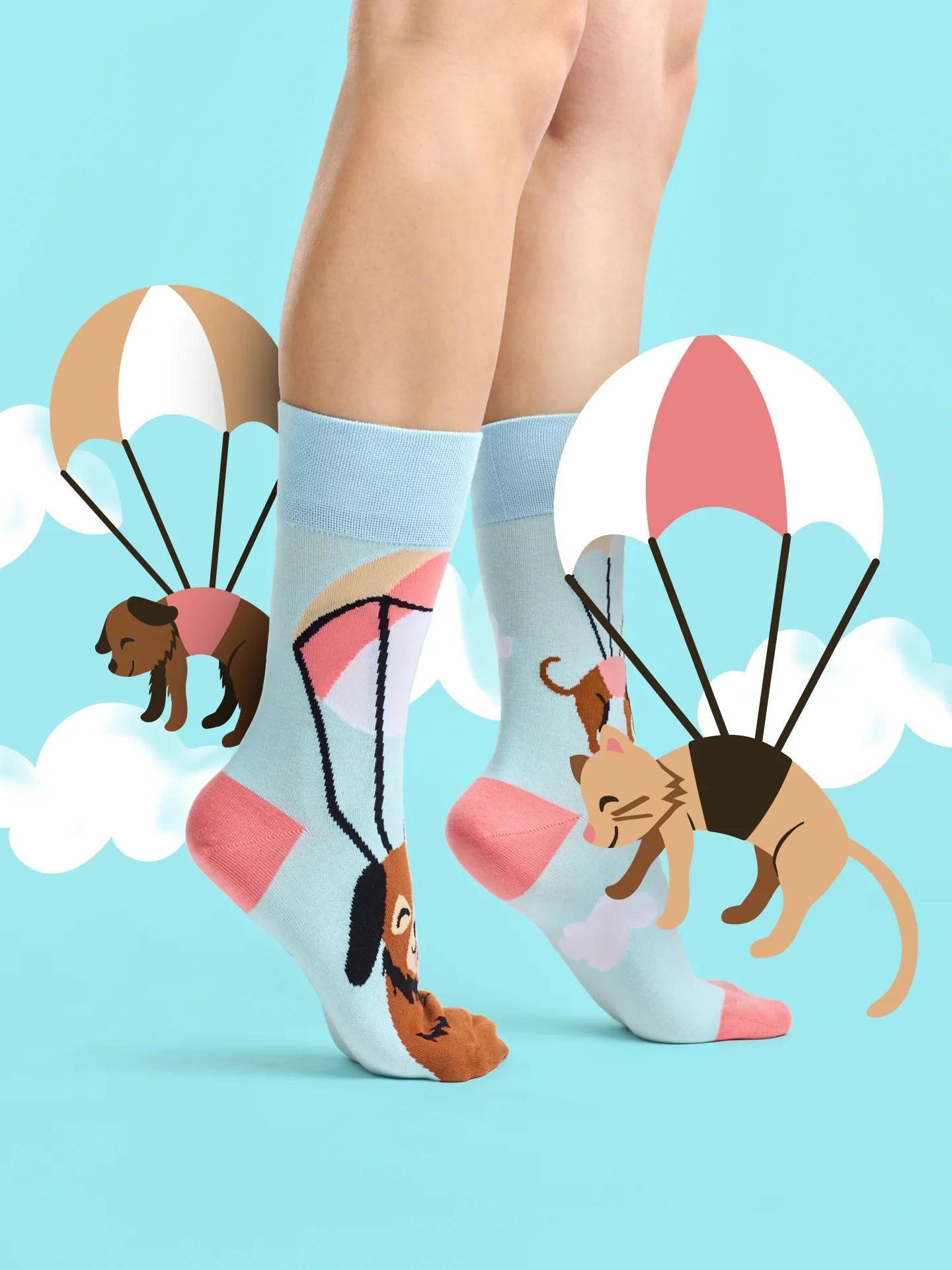 regular-socks-flying-cats-dogs-1-4e/4e2282c97759127eccac57987846ea849b4b435a