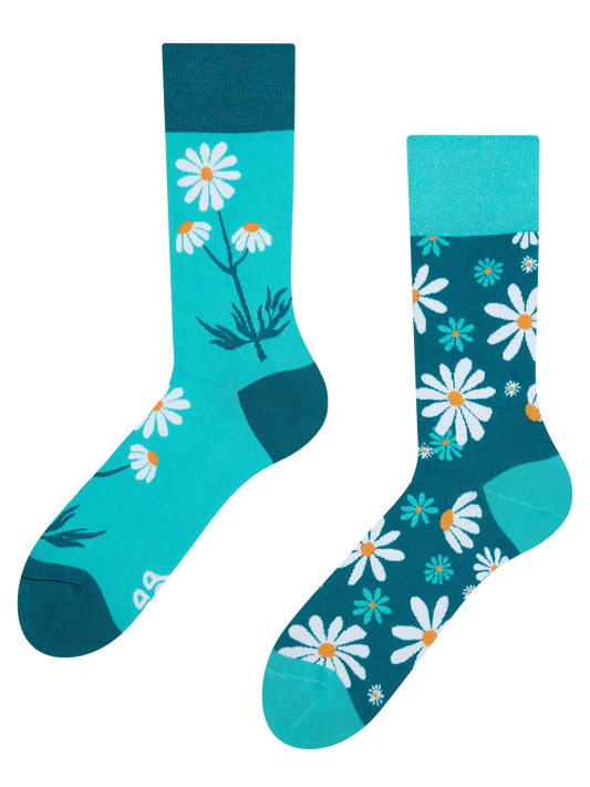 regular-socks-chamomile-1-2b/2b13708f1594b2c9c54f689f96c631db1f4b2ead