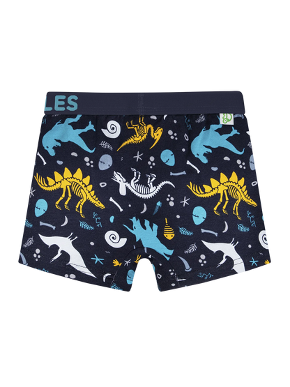 boys-boxers-dinosaurs-1-95/95d7369534e43ee59f2ddc3b47b85bc6916cc3c1