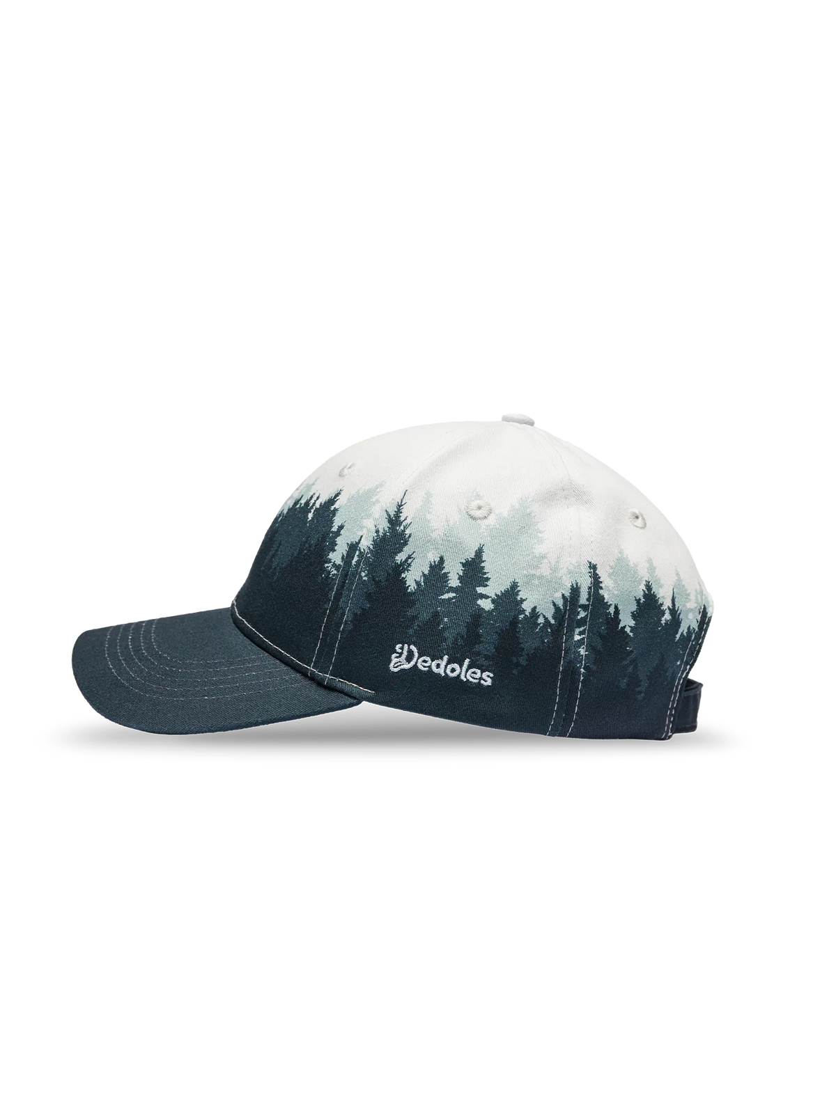 cap-cold-forest-b0/b0cd27bcbf8072f681996d1909f69ea2bc55090b