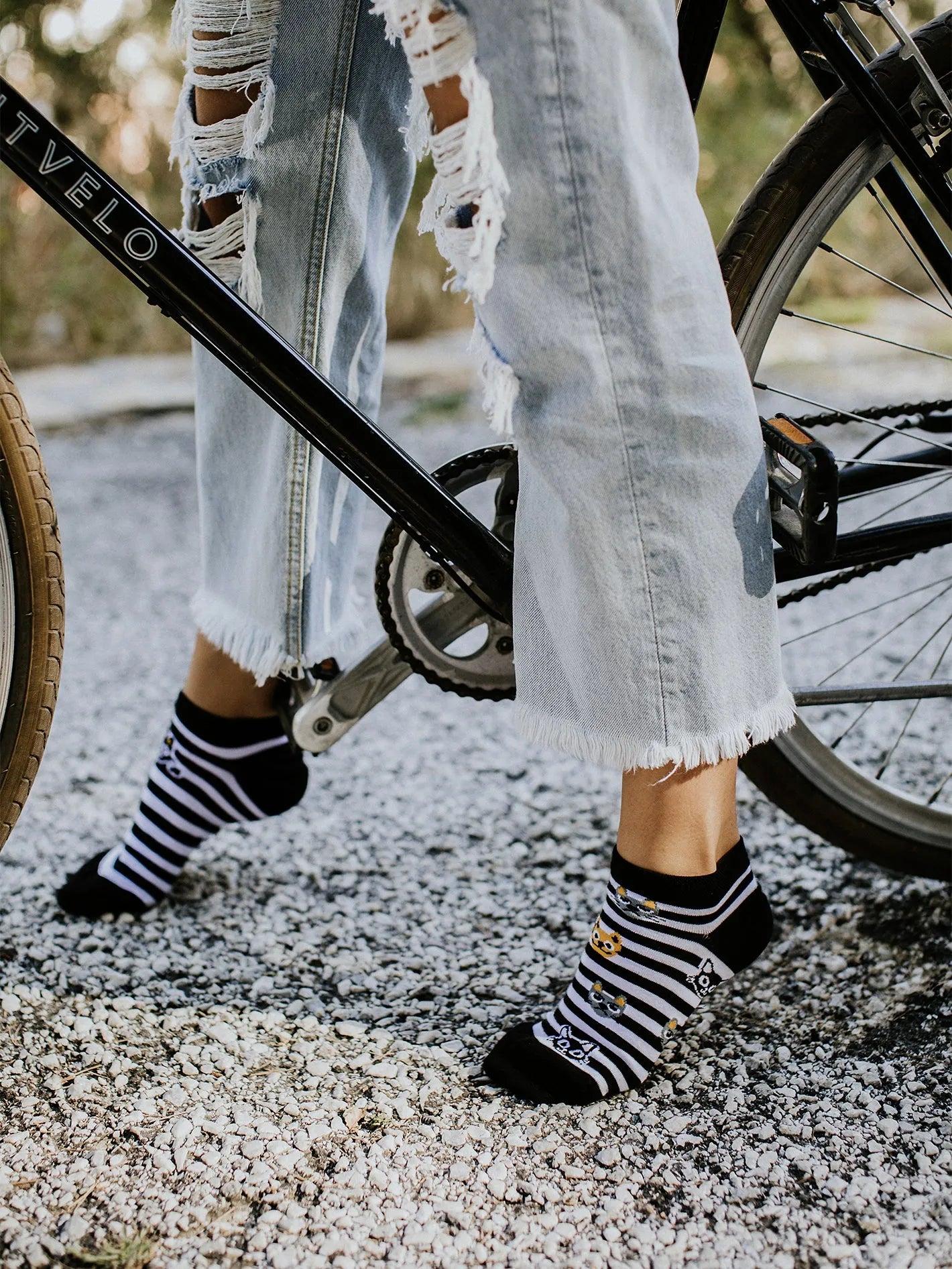 ankle-socks-cats-stripes-1-b2/b236297e25c6fa5f33f8393e541ad892857592ce