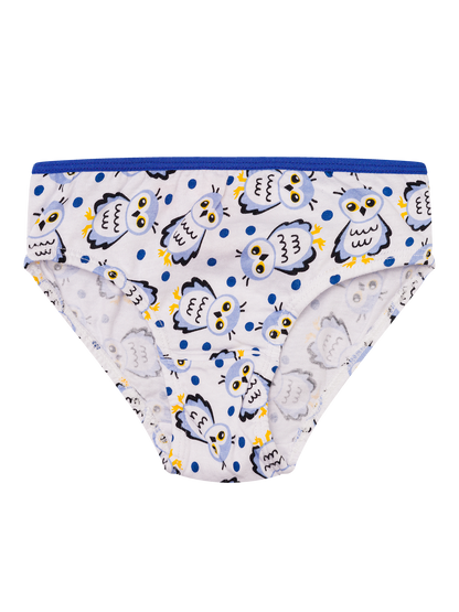 girls-briefs-snow-owl-eb/eb31ea3ee50ef5bcb6a45e682095564e4436c3e5