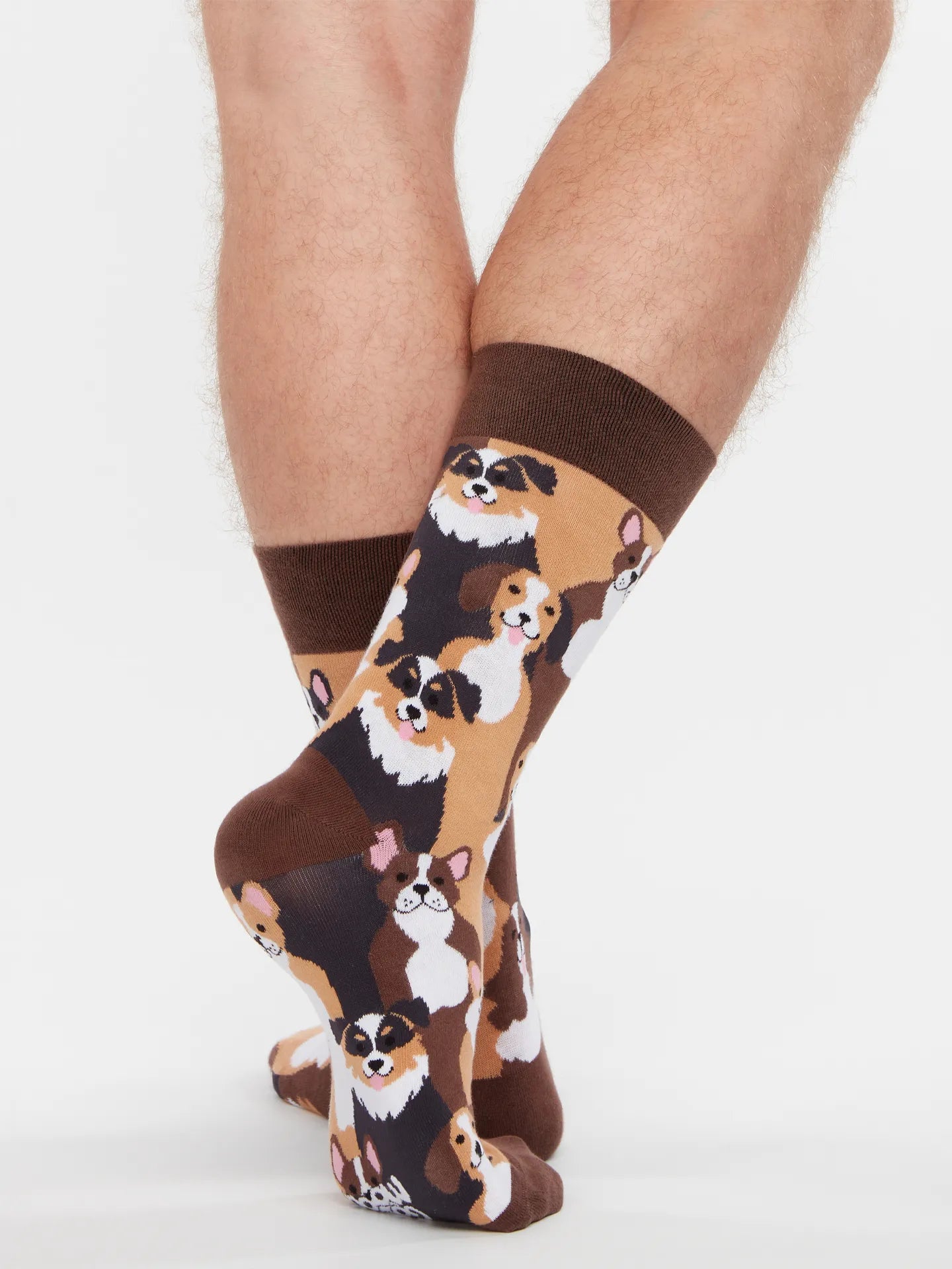 regular-socks-doggies-1-b4/b4b44b210492d65942d70dc3702249852beb5fc3